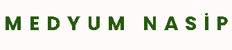 medyum logo
